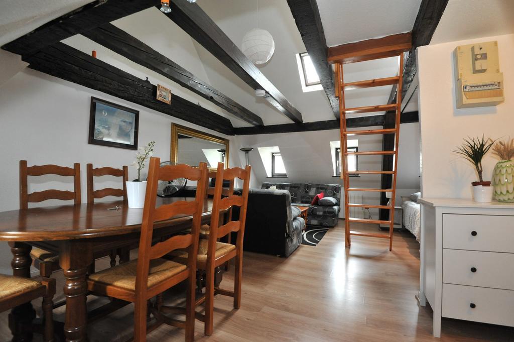 Appartements Paola, Pamela, Patricia Et Pascale 스트라스부르 객실 사진